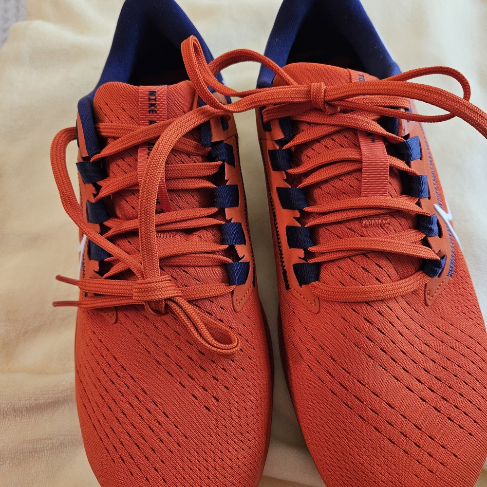 NEW! Nike Pegasus CLEMSON Orange and Purple Sneakers 8.5 M 10 W - Picture 2 of 10